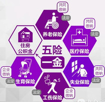 信息咨询服务的价格、批发与厂家指南