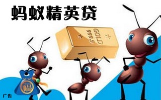 陕西兴海普惠信息咨询服务有限旬阳分公司 专业信息咨询服务的领航者